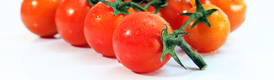 ddos在线压力测试平台