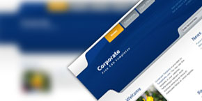 低价卡密批发的doss网站攻击